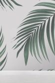 Обои пальмовые листья для стен