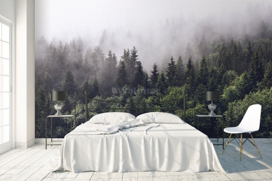 Спальня лес в тумане