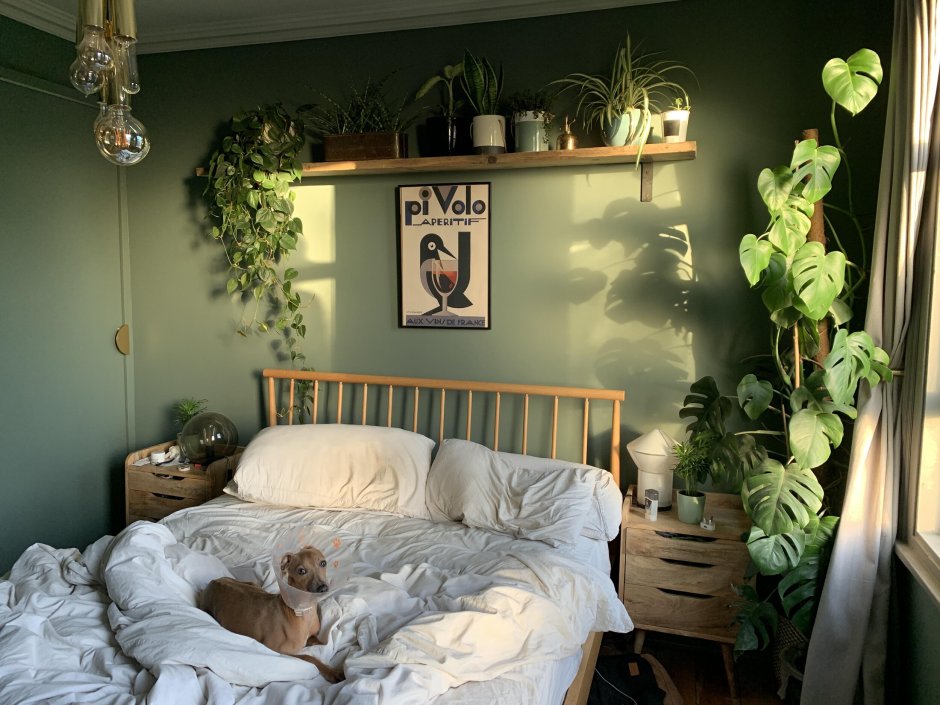 Aesthetic спальня зеленая