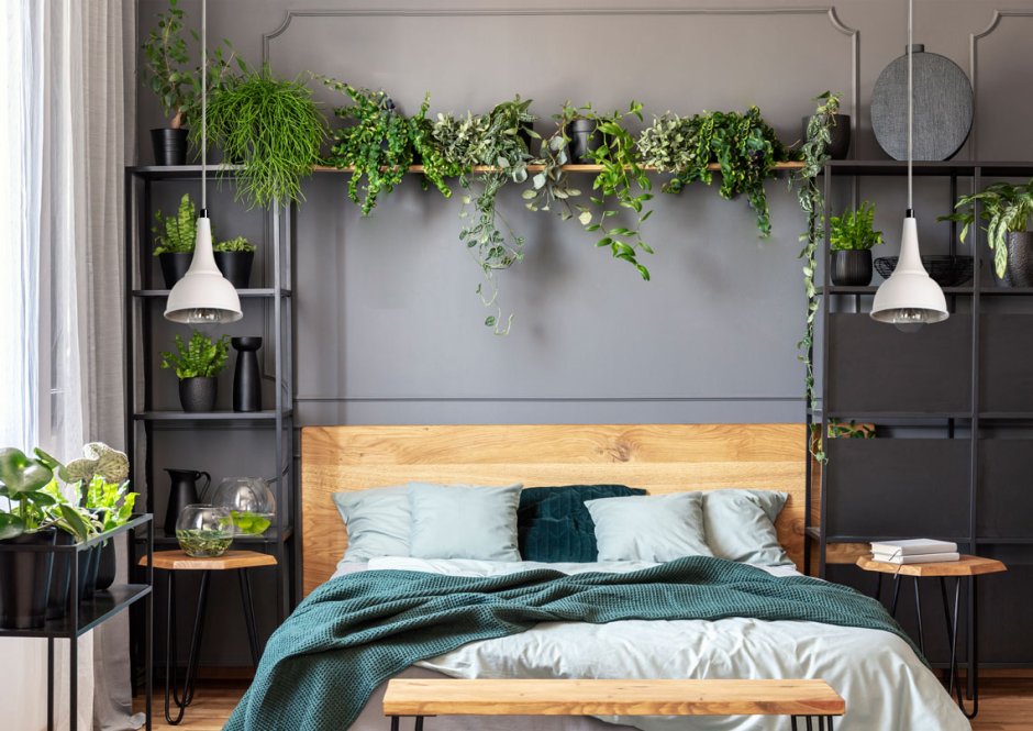 Серая спальня с цветами комнатными