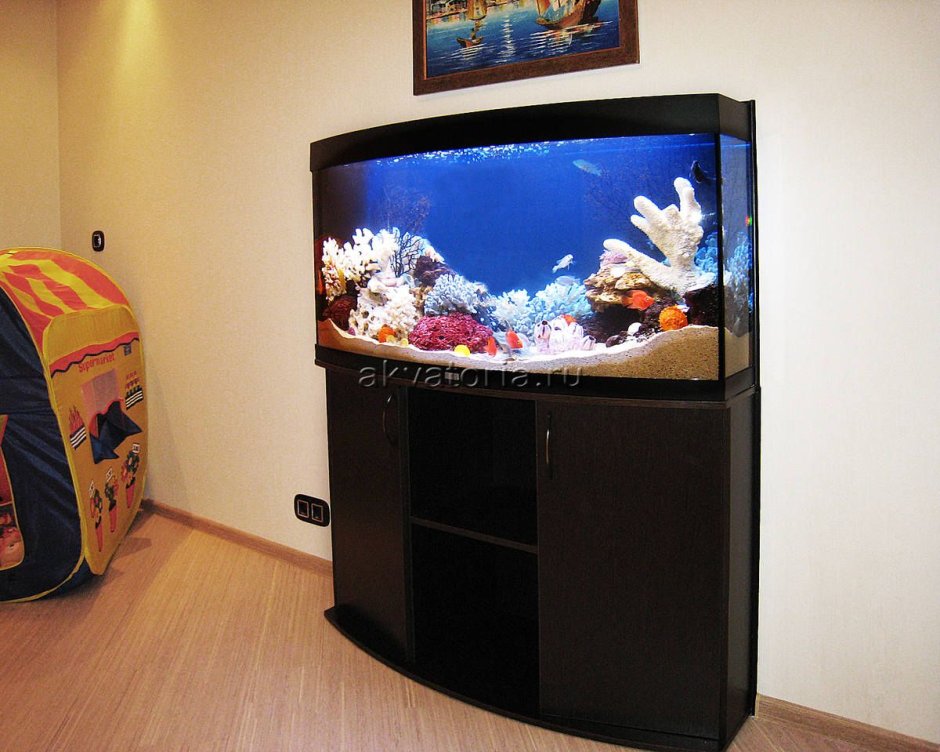 Аквариум тумба под телевизор