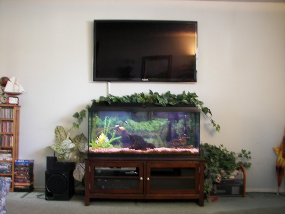 Стенка с аквариумом