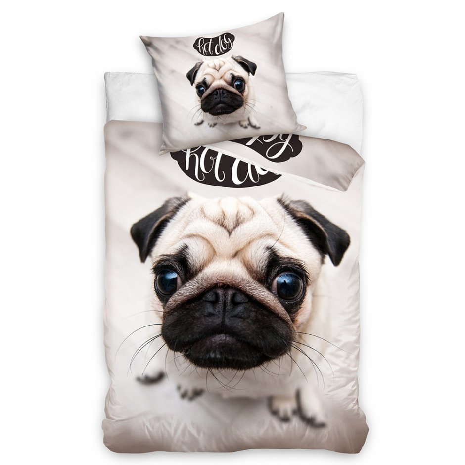 Мопс на корабле