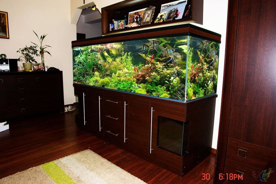 Интерьер аквариума 200 литров