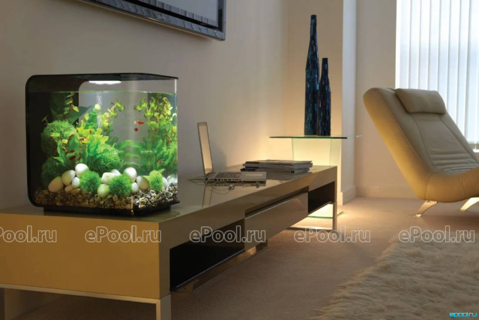 Аквариум в интерьере