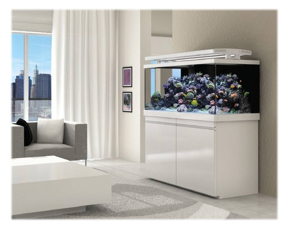 Тумба для аквариума Red Sea Max 250 (ШХВХГ) 95х80х55.2 см