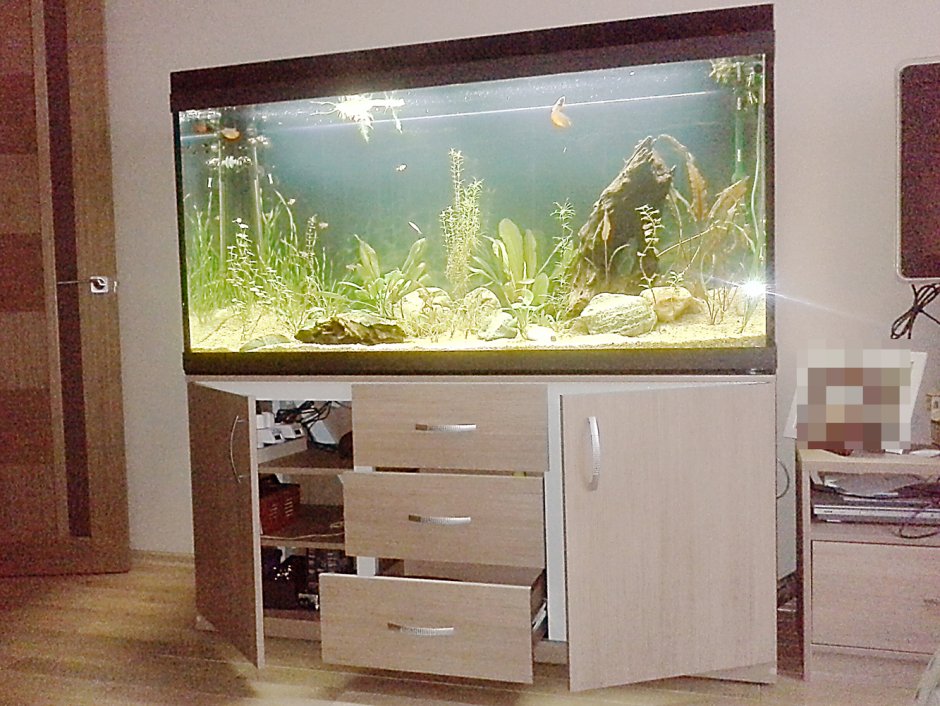 Аквариум на комоде