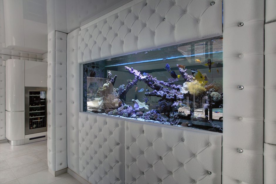 Стена аквариум перегородка