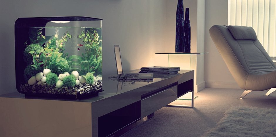 Аквариум в комнате