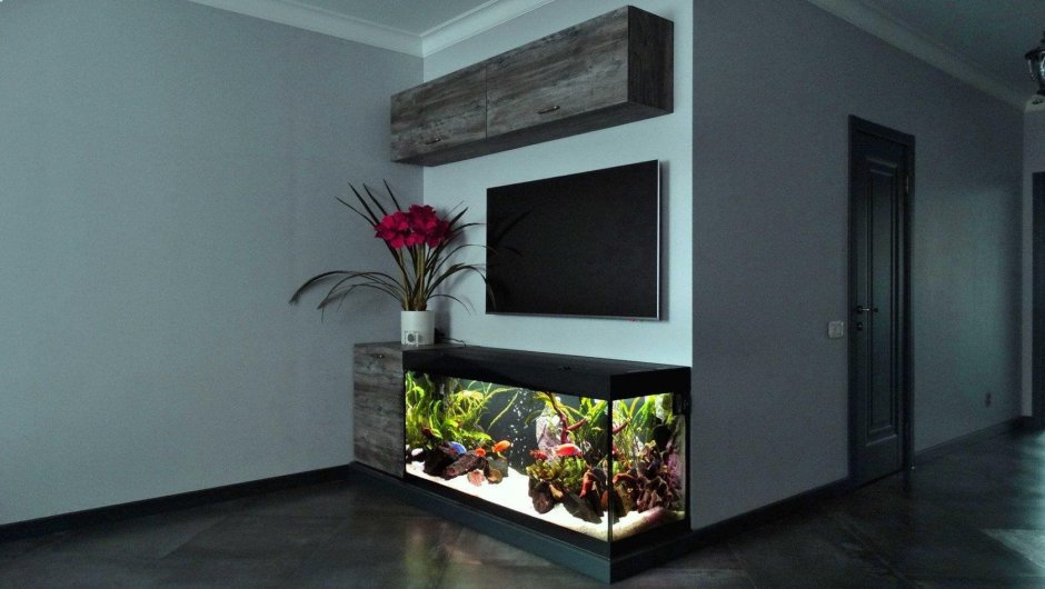 Аквариум под телевизором