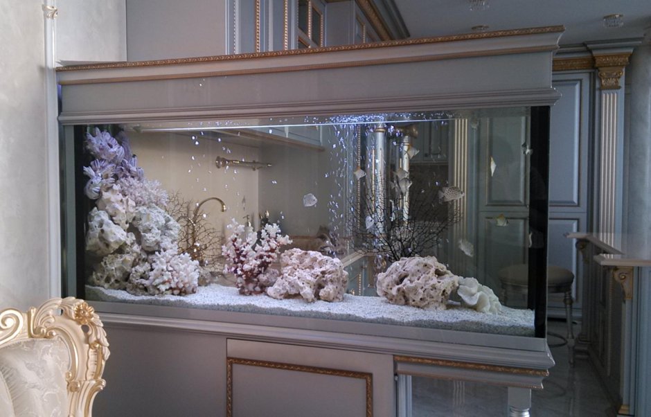 Дизайнерский аквариум