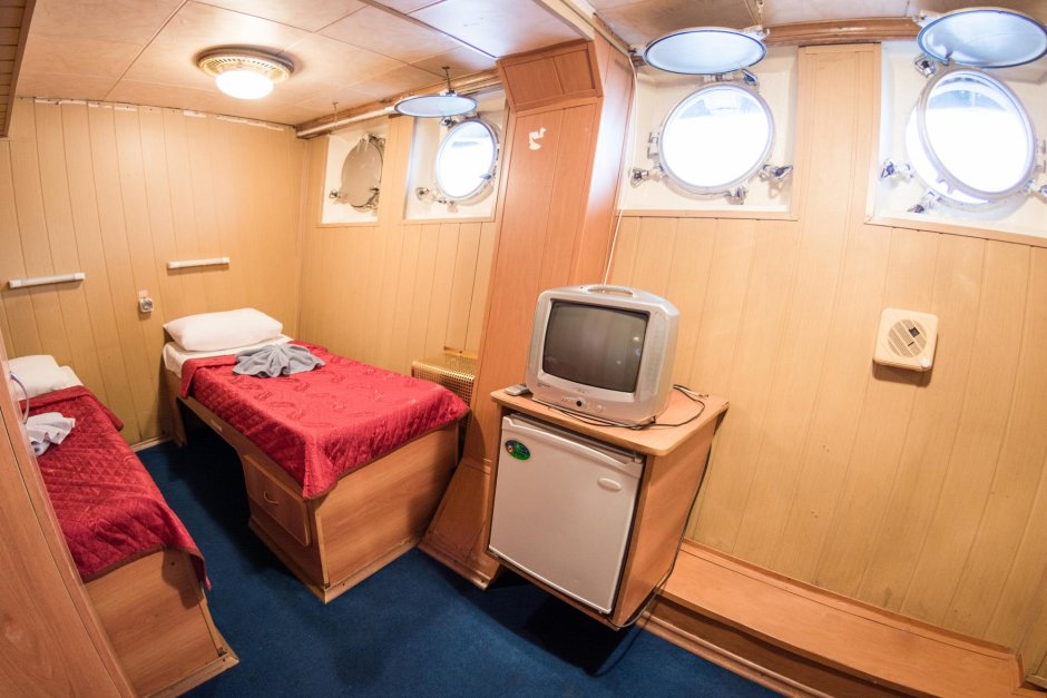 Теплоход Илья Муромец каюты