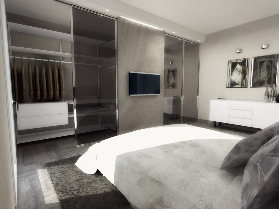 Спальня с гардеробной и телевизором