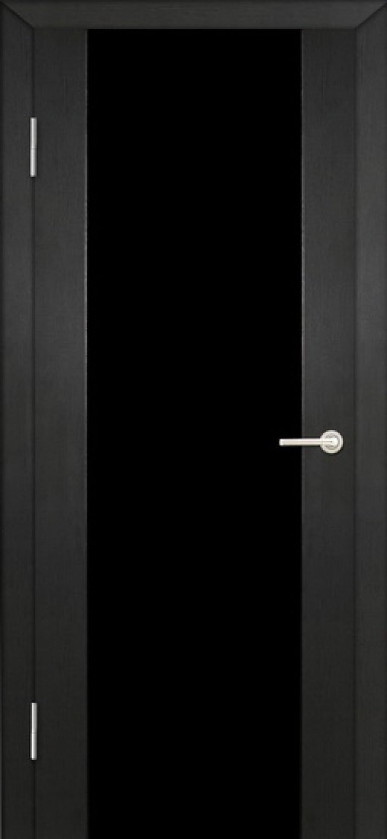 Черные двери со стеклом