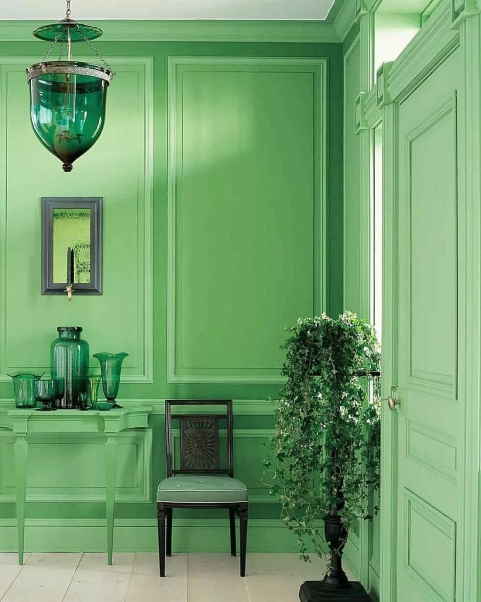 Темно зеленый цвет стен