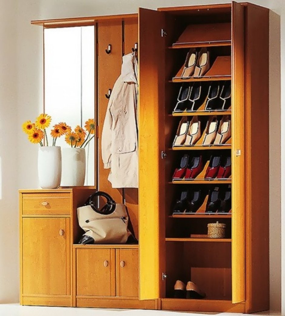 Шкаф-купе в прихожую обув