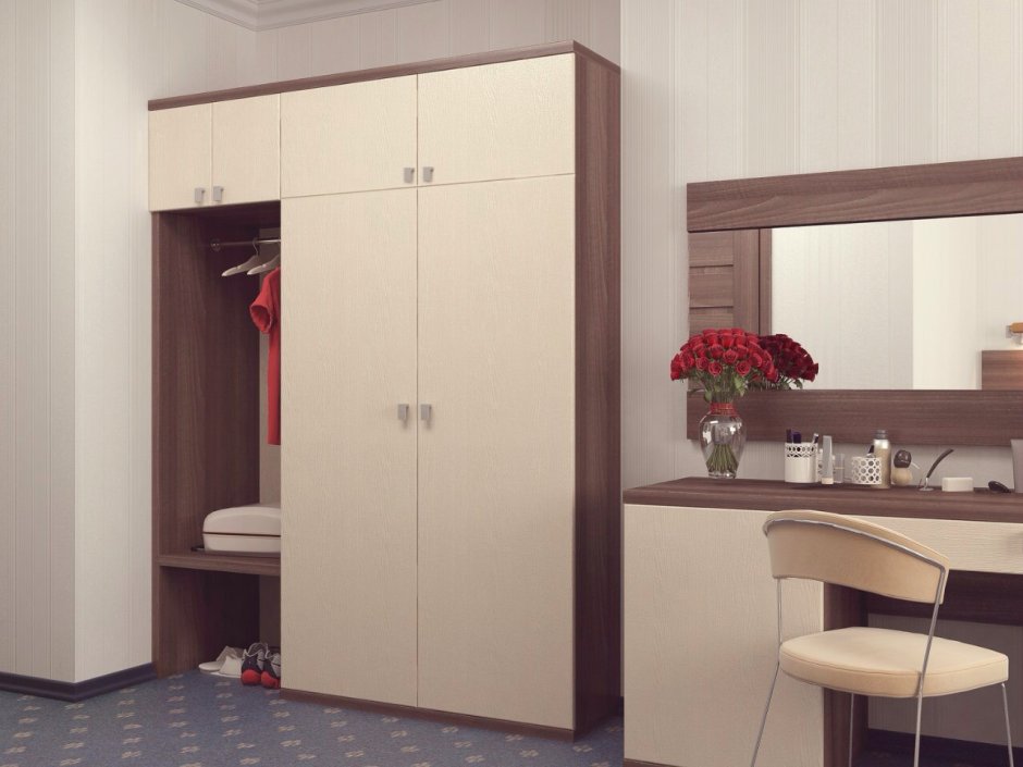 Современные распашные шкафы в прихожую