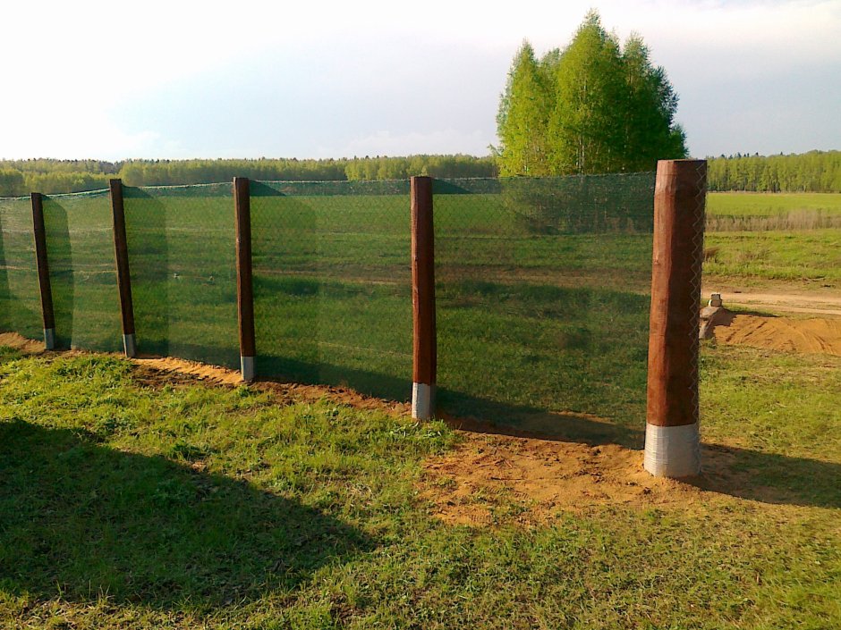 Забор из деревянных столбов