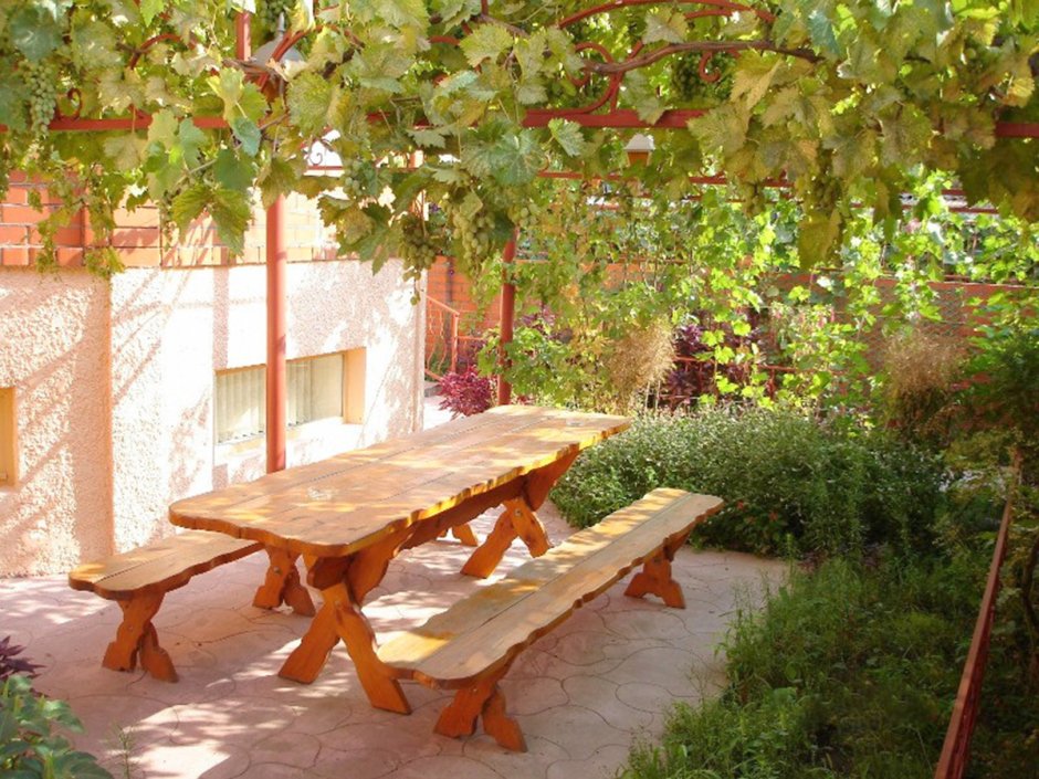 Двор в частном доме с виноградником