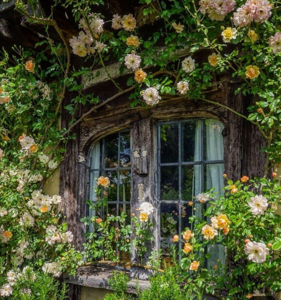 Стиль cottagecore Aesthetics