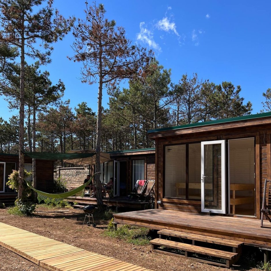 Дом с односкатной крышей Скандинавия