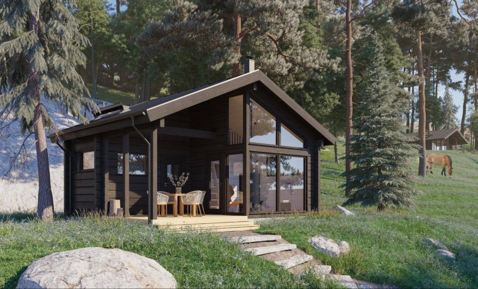 Односкатная баня с террасой