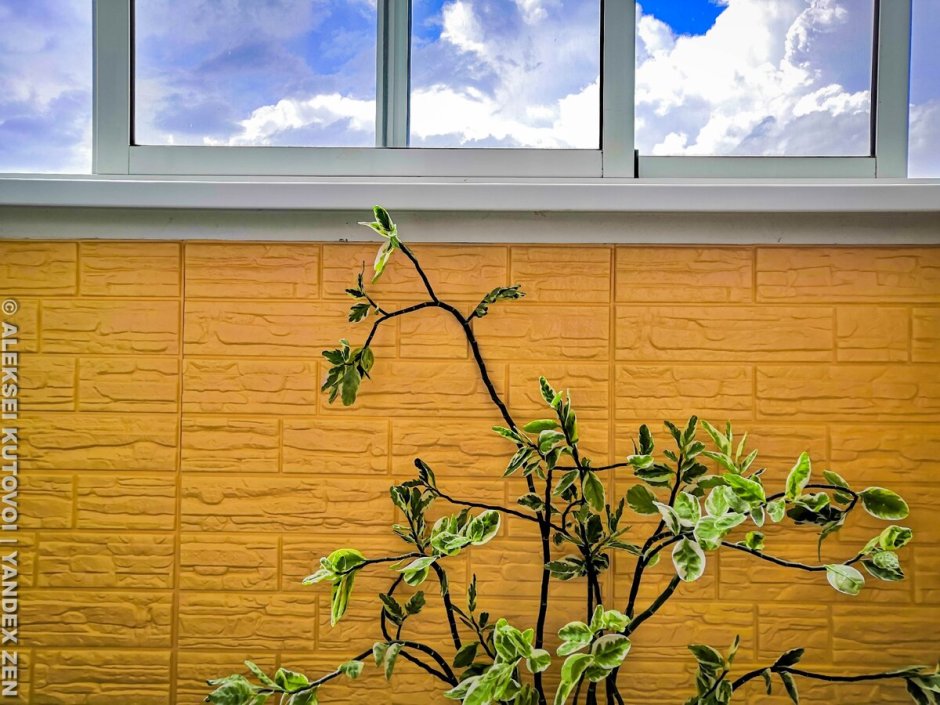 Панель ПВХ 3d век бамбук оливковый 2700x250x9 мм (0,675 кв.м.)