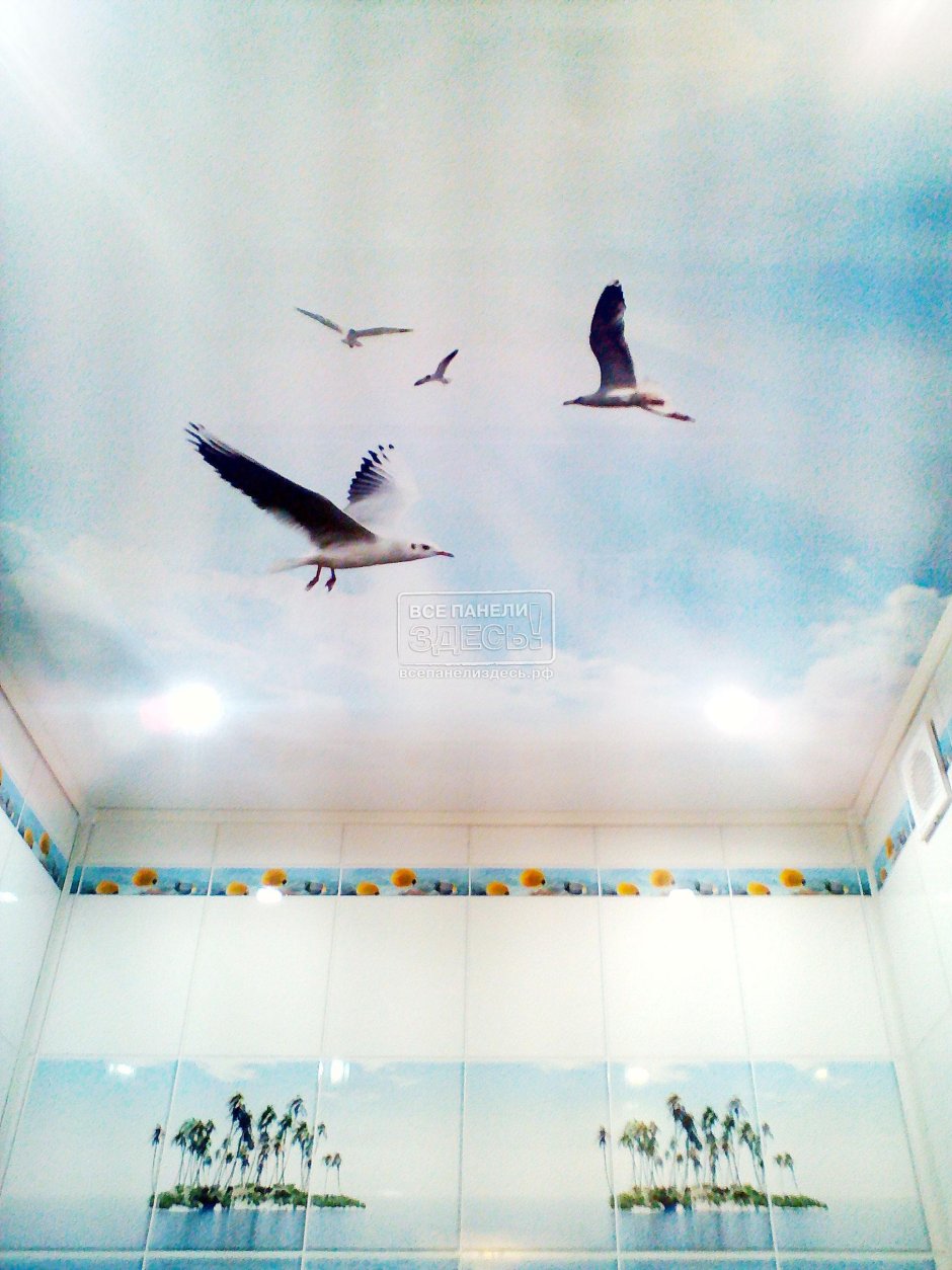 Потолок Чайки Новита панели ПВХ