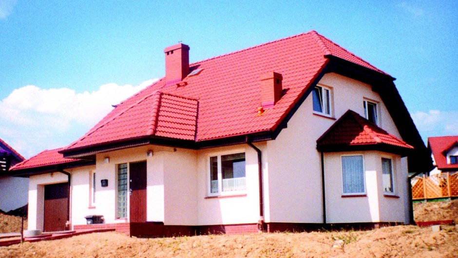 Короед с бордовой крышей