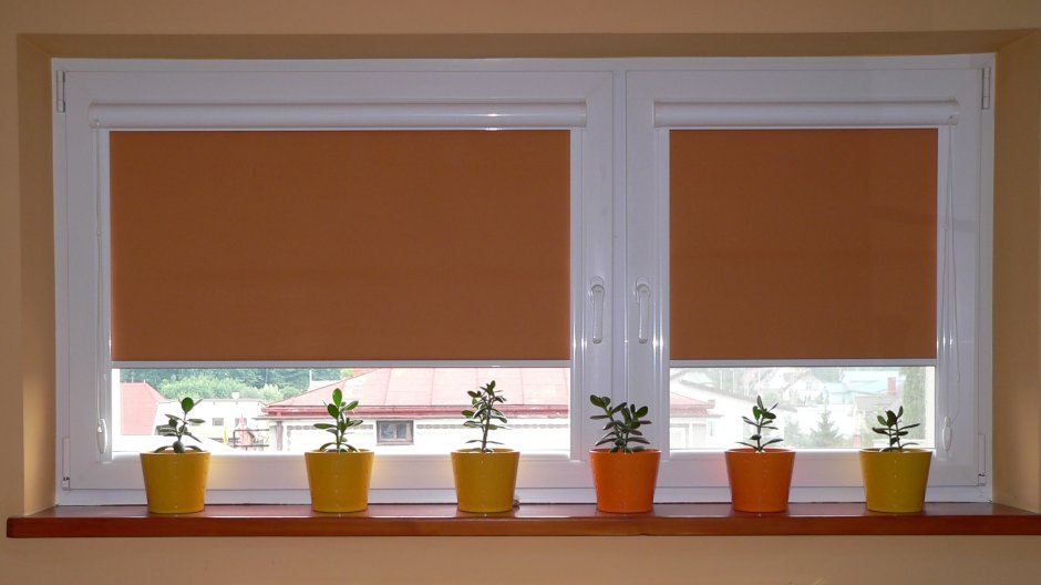 Жалюзи ролло вектор