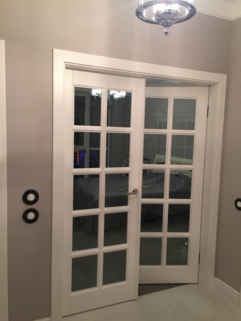 Двери со стеклом в интерьере