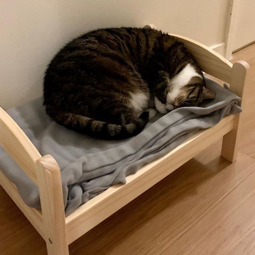 Кроватка для кошек ikea