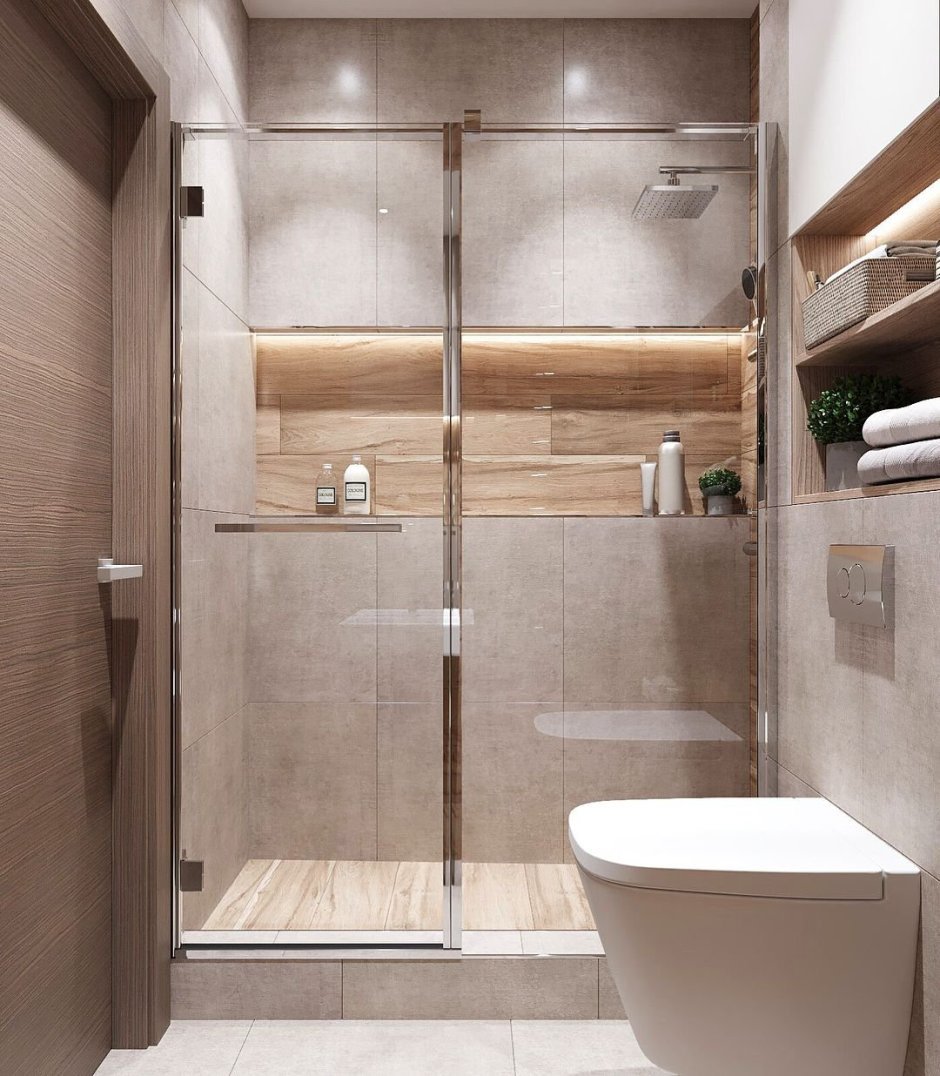 Совмещённый санузео с душевой