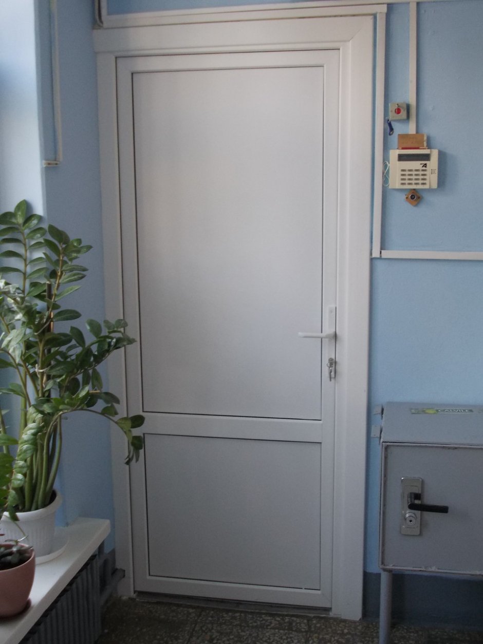 Дверь ПВХ 800х2100 глухая