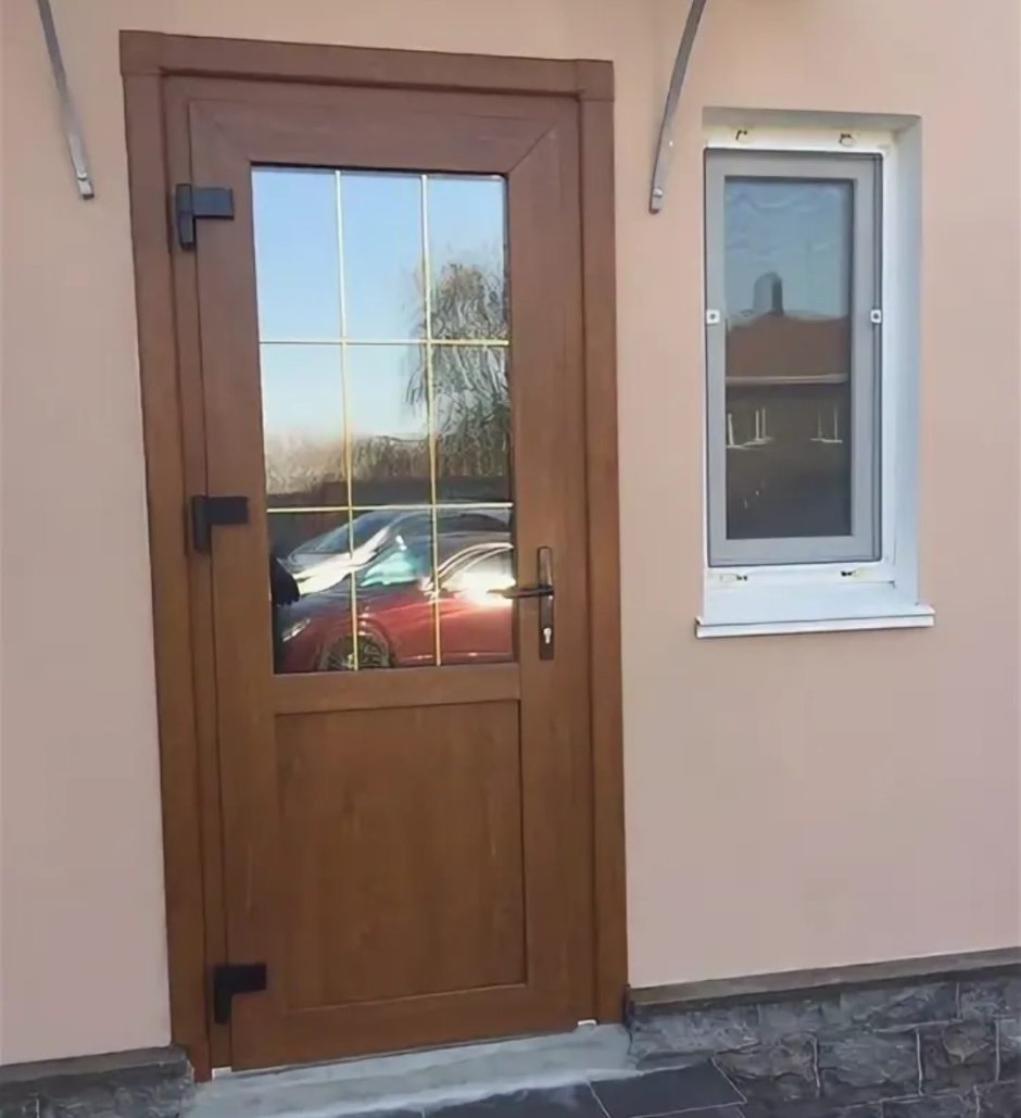 Двери из ПВХ входные для частного