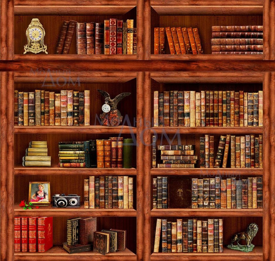 Книжный шкаф библиограф 2.3