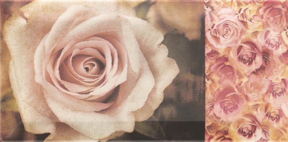 Плитка настенная 10х20 Arkadia crema