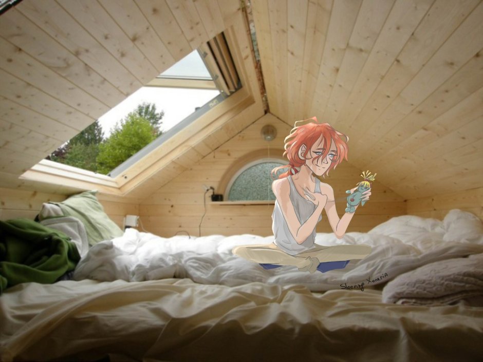 Кровать под крышей