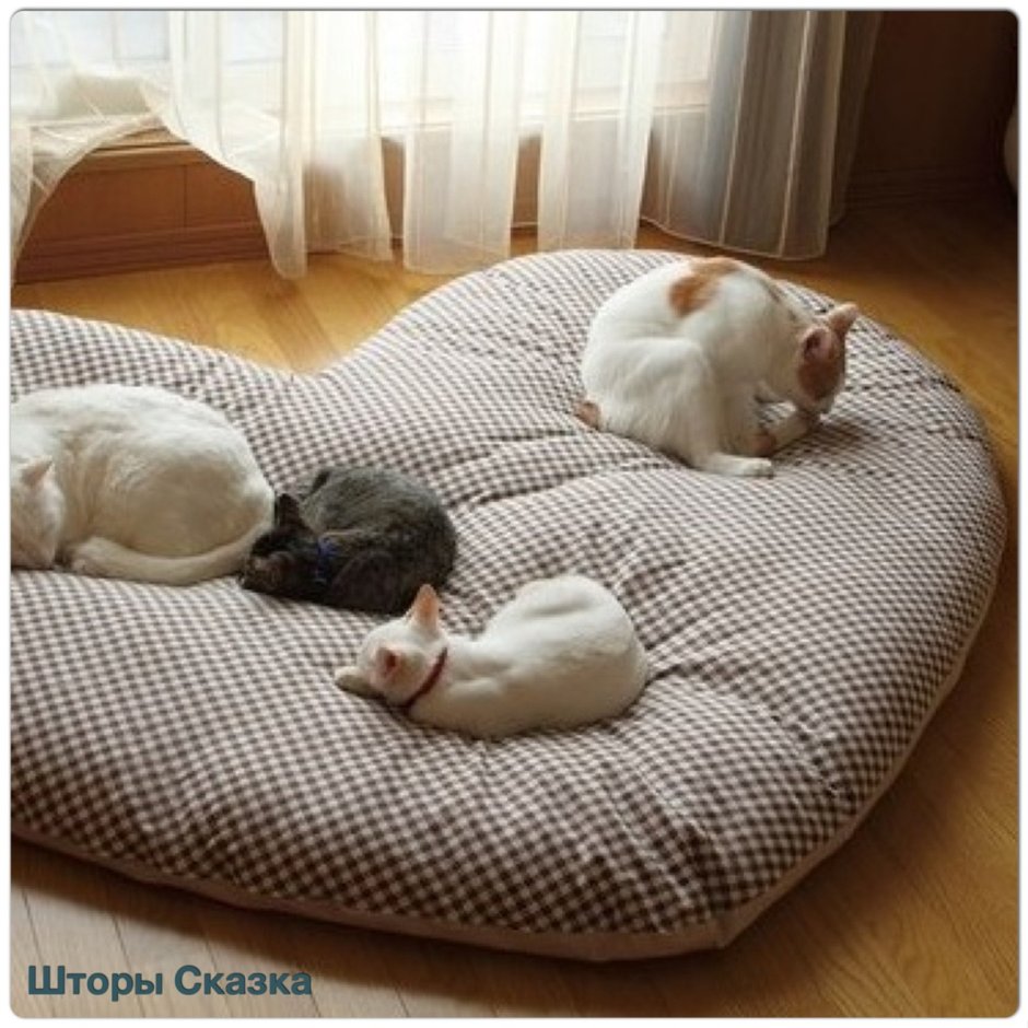 Подушки для кота лежанка