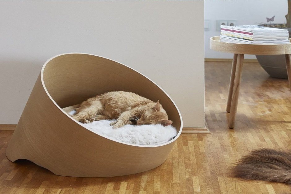 Дизайнерские лежанки для кошек