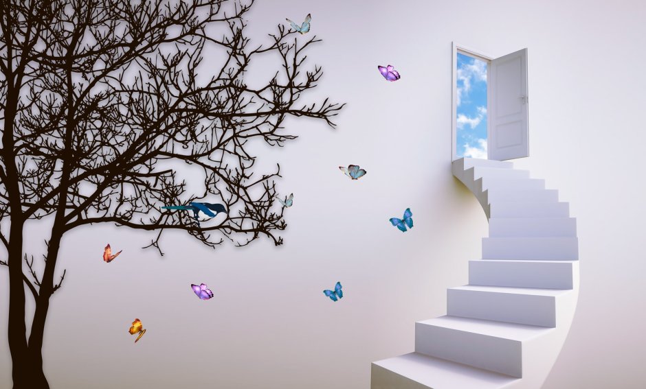 Креативные фотообои на стену