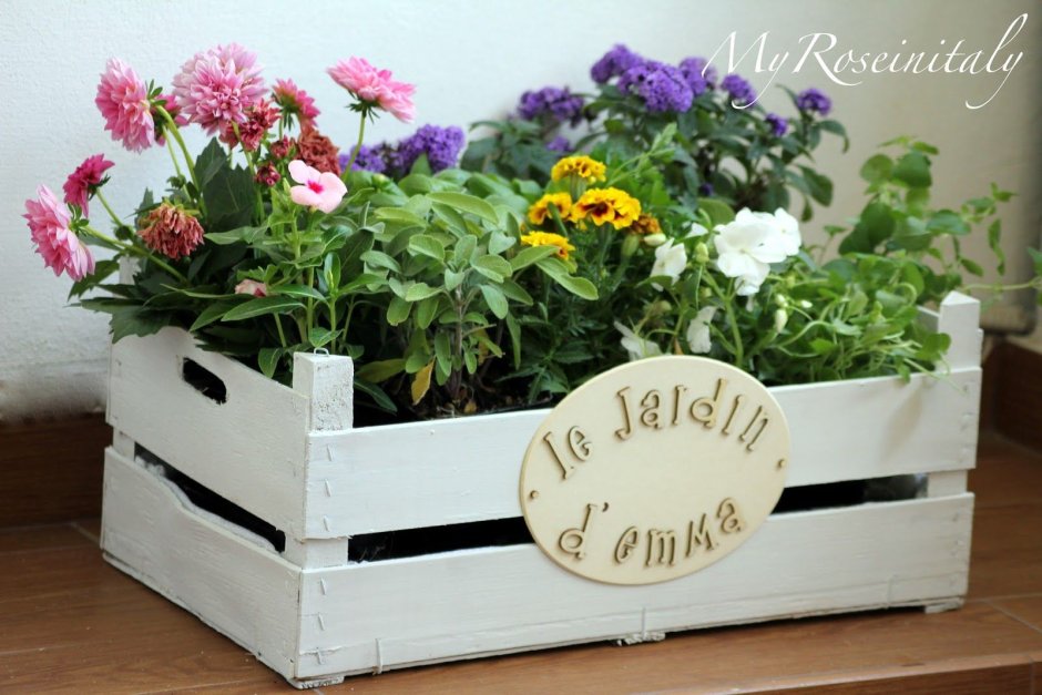 Клумба в ящике деревянном