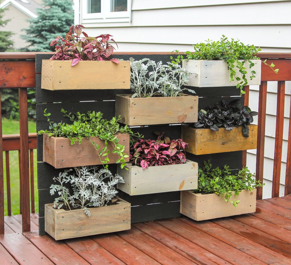 Многоуровневые клумбы для цветов