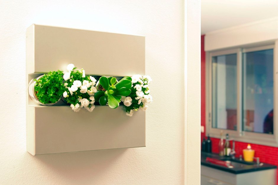 Цветы в интерьере