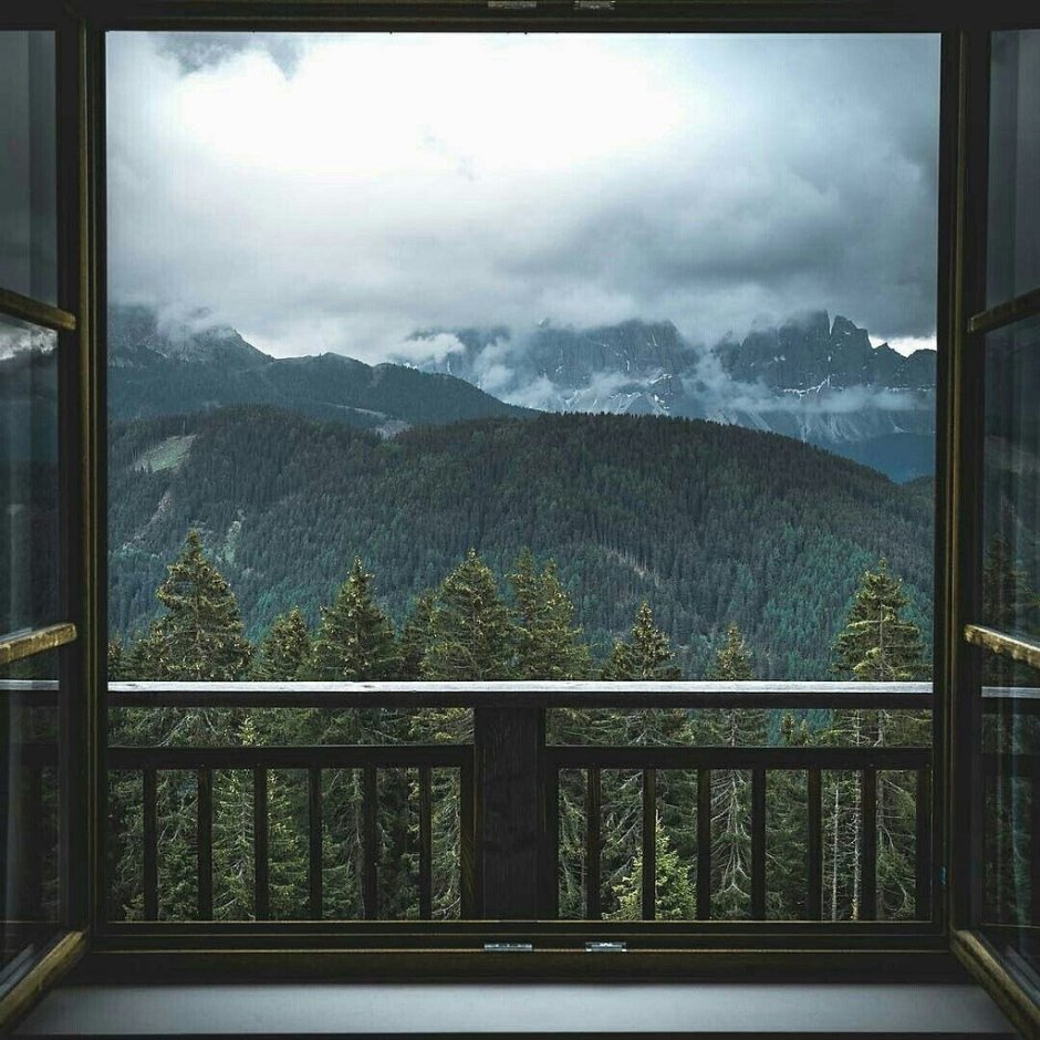 Вид из окна