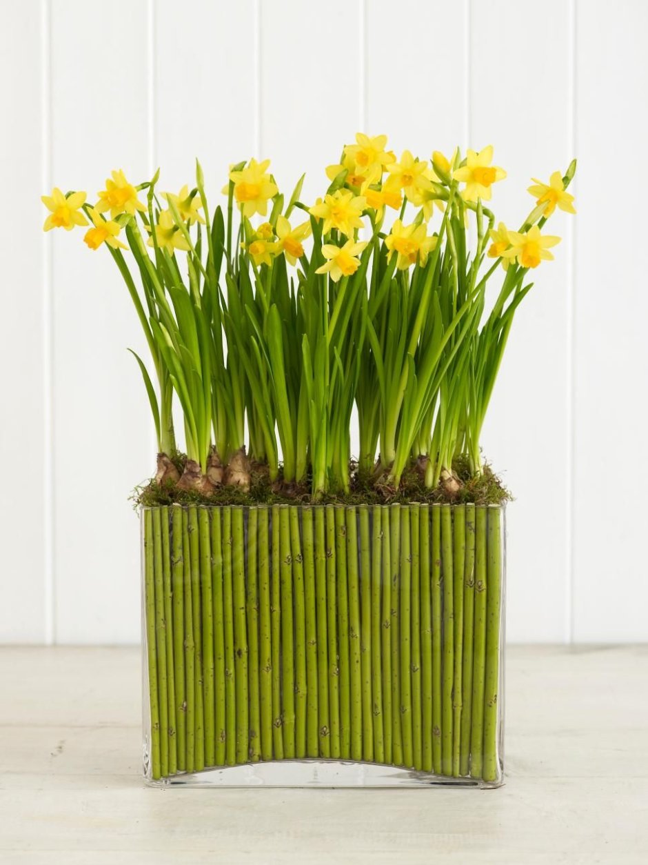 Японский сад фонтан из бамбука