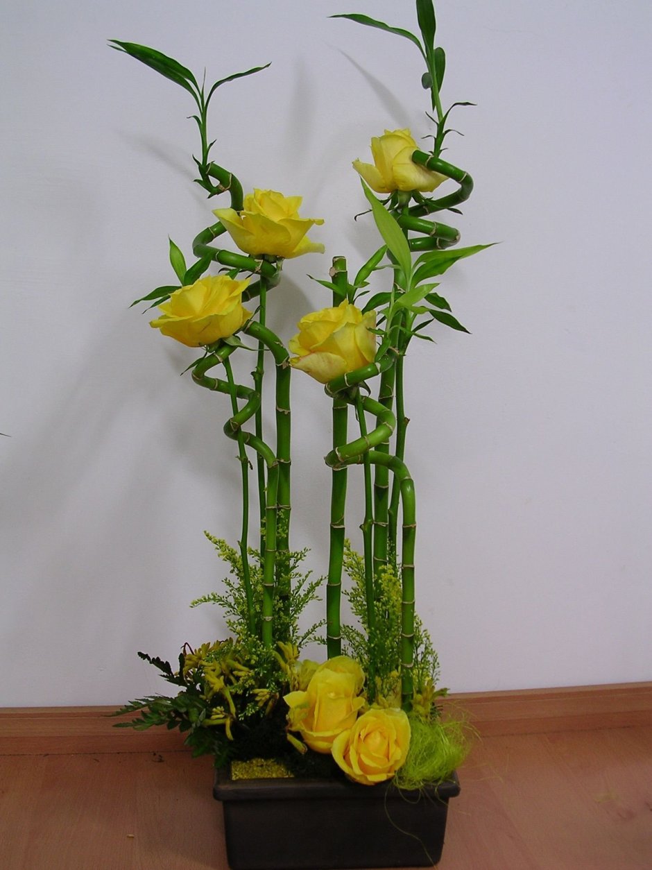 Бамбук композиции