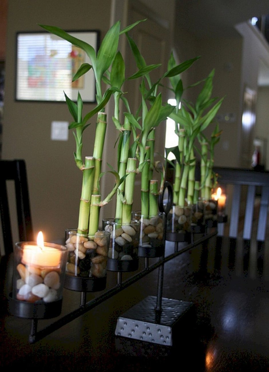 Бамбук в интерьере