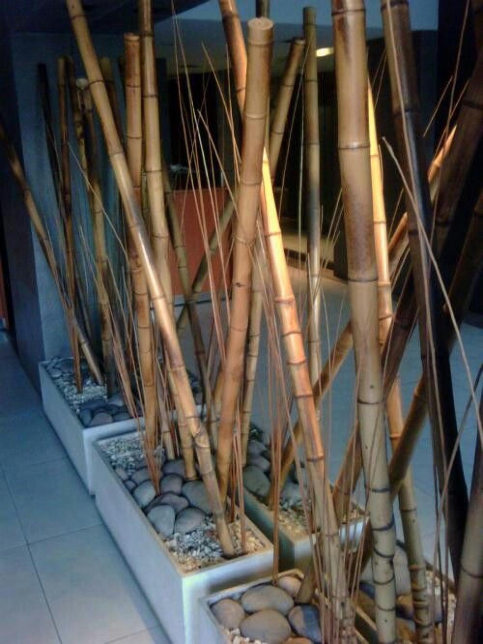 Изделия из бамбуковых стволов
