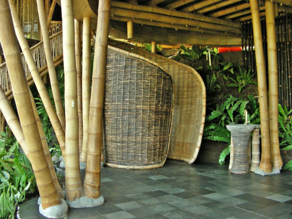 Лианы в интерьере